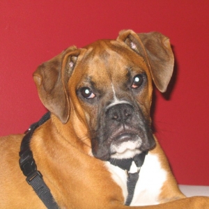 Roxy 6 mos