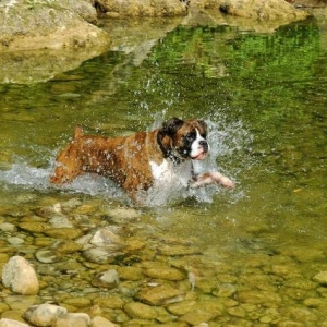making a splash