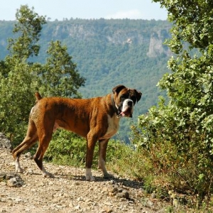 On his way to the river
