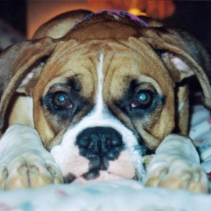 Our Pretty Baby Girl