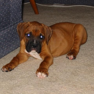 baby Oscar almost 9 weeks