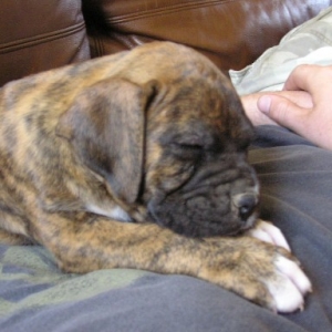 Moab's Naptime