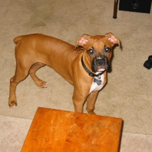 Oscar almost 6 months