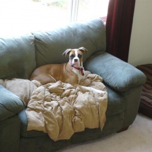 Bellas favorite spot to chill