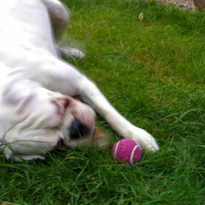 Action shot