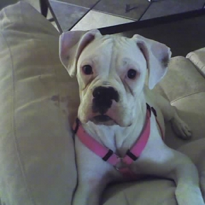 Ellie's a big girl