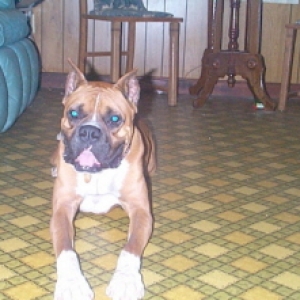 Stonewall looking cute