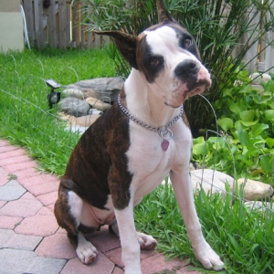 Venus 6 months