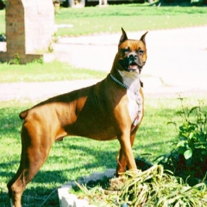 Posing_Big