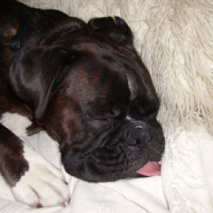sleep