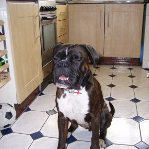 Juke on kitchen floor
