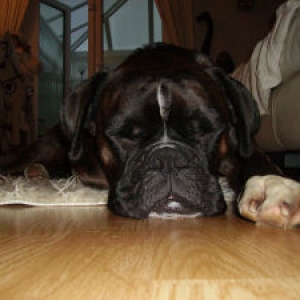 Sleeping