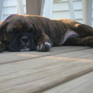 Asleep on the deck...