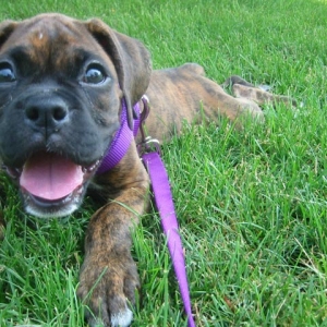 My-first-walk_