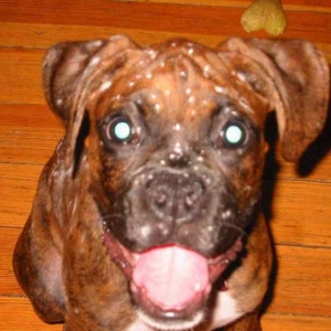 Covered in flour! Fun!