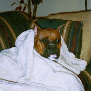 Cozy Pose