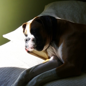 Perfect spot to catch some rays!