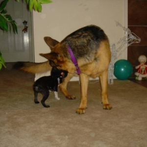 Baby Kai and Zea