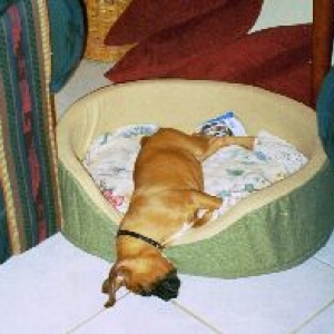 Leila all tired out