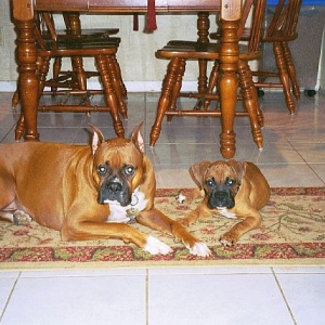 Cisco and Leila together