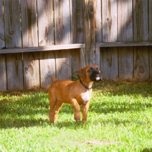 Leila prancing around