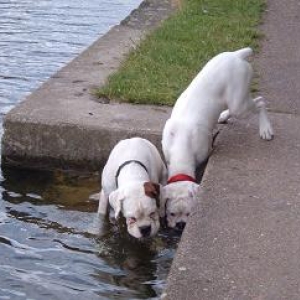 The local watering hole!