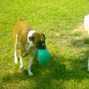 Leah in the Yard