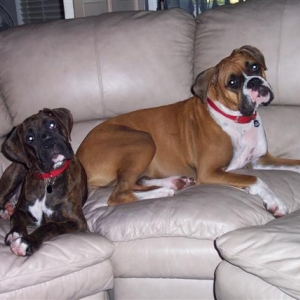 My Kids