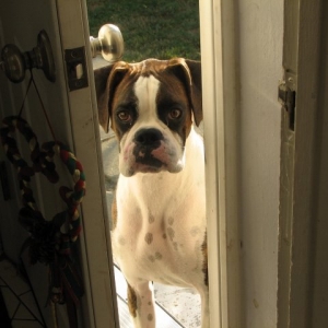 Peek-a-boo!