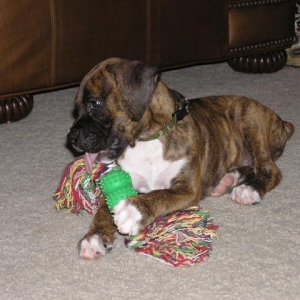 Me and my favorite toy