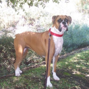 Samantha - 1 Year Old