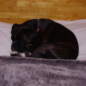 I am going to sleep in your bed
