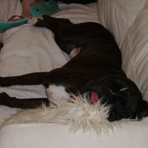 Also taking over the chair