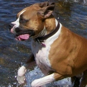 Ali having fun in the pond