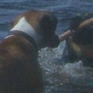 Ali & Brooke having tug of war in the pond