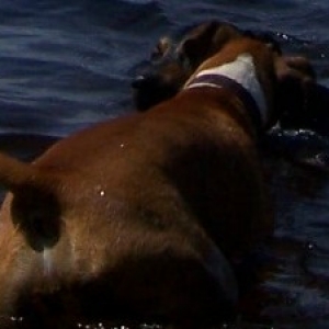 Ali is just learning to like water