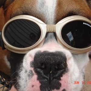 Cool Zoey!
