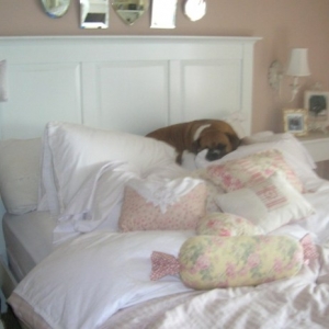 Loves the Pillows
