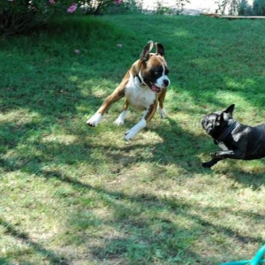 Playtime!