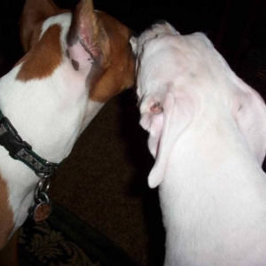 Punchinella Kissing Brother Boo