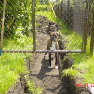 more_tula_024