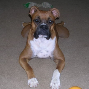 I'm a FROG