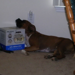 Comfy spot