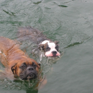 Venus swimming.