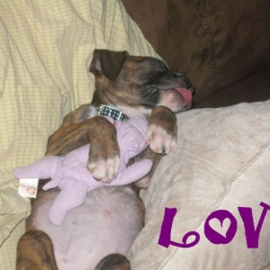 Bailey and her hippo!