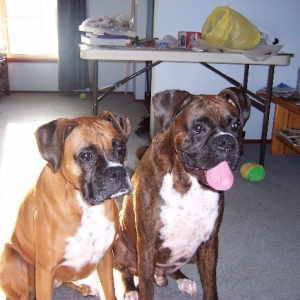 brandy's 3rd birthday