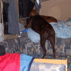 is daddy coming yet? is he?