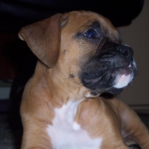 Bella :)