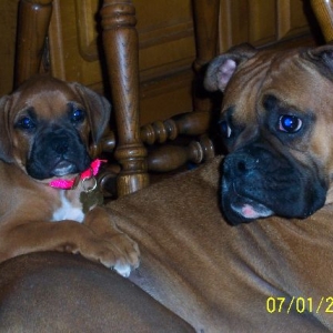 My BABIES