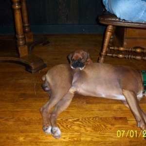 Sleeping with my bro